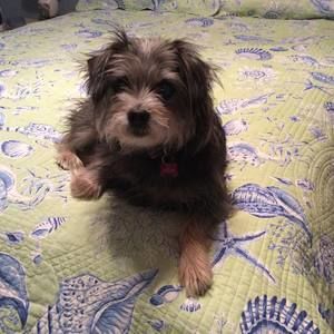 Meet your Posher, Sandy